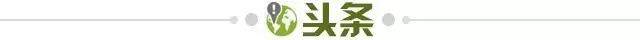 d4991339-2cc3-4859-a869-7c35f52598f8.jpg@!img01